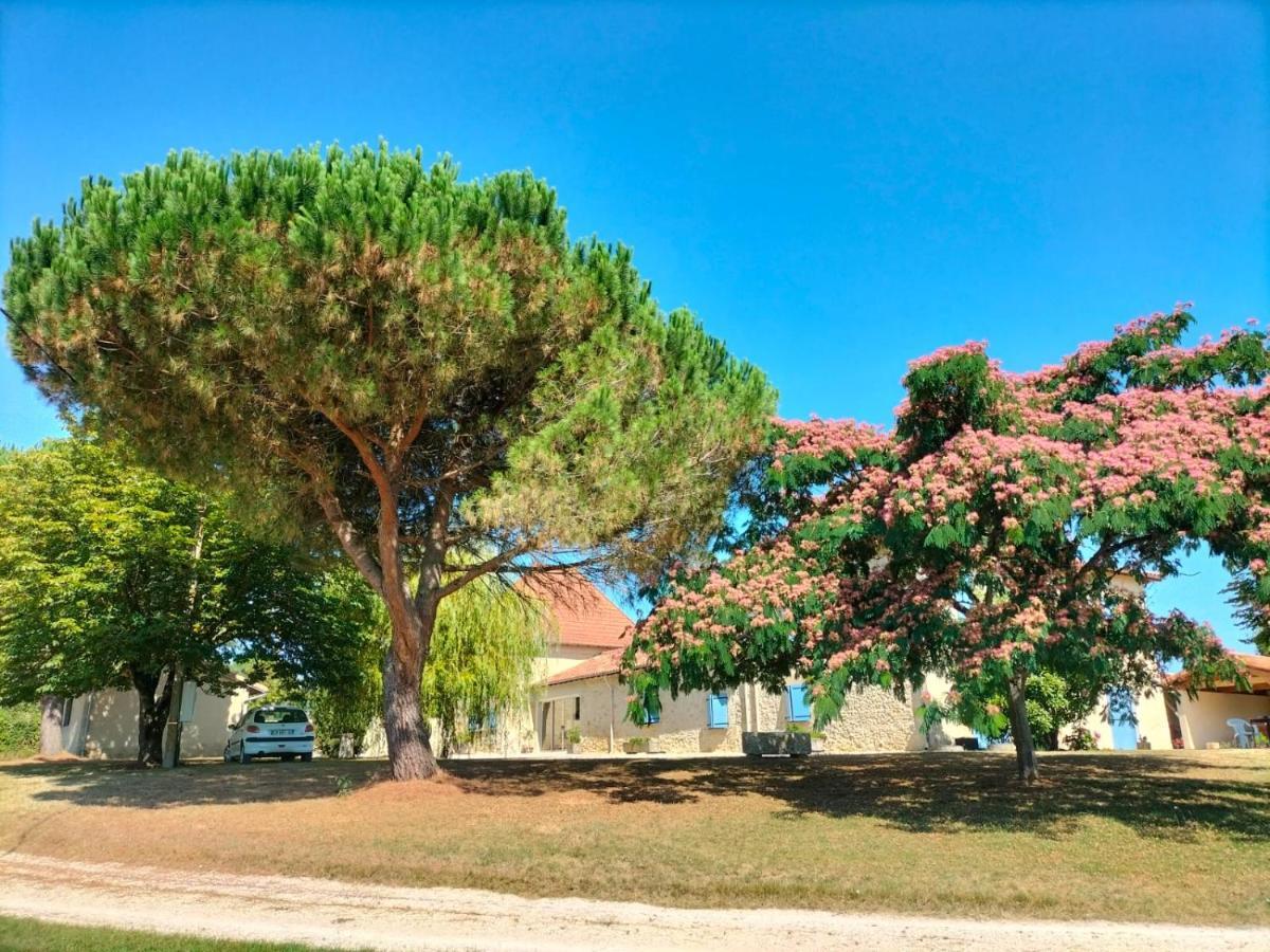 Villa Le Pigeonnier Gersois Condom Exterior foto
